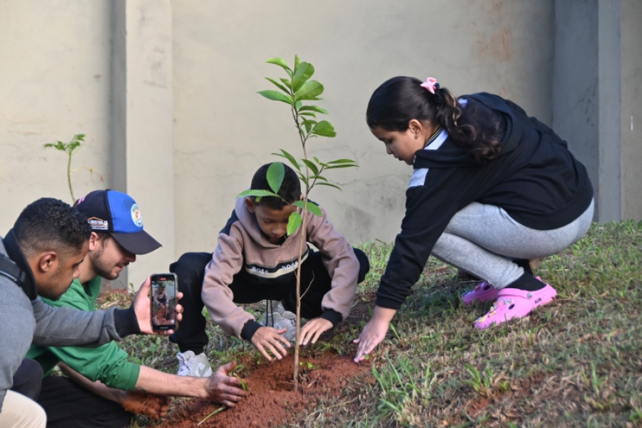 Semana do Meio Ambiente terá plantios, palestras e ações educativas em Olímpia