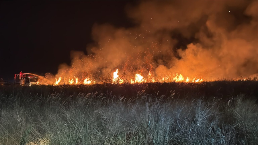 Incêndio atinge área de vegetação em Barretos