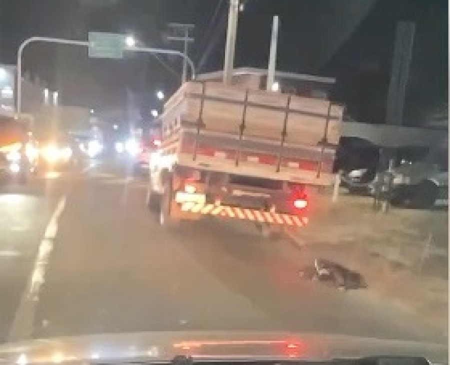 Cão arrastado: motorista é identificado e ouvido